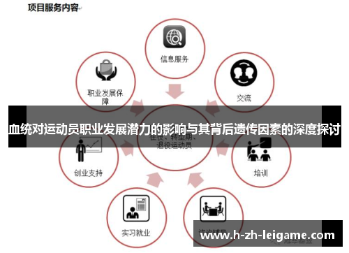 血统对运动员职业发展潜力的影响与其背后遗传因素的深度探讨 血统对运动员职业发展潜力的影响与其背后遗传因素的深度探讨